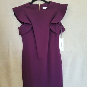Calvin Klein Ruffle Sleeve Dress